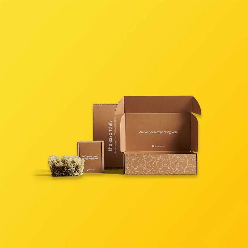 Custom corrugated cardboard PR boxes featuring double-sided interior graphics and high-impact influencer presentation
